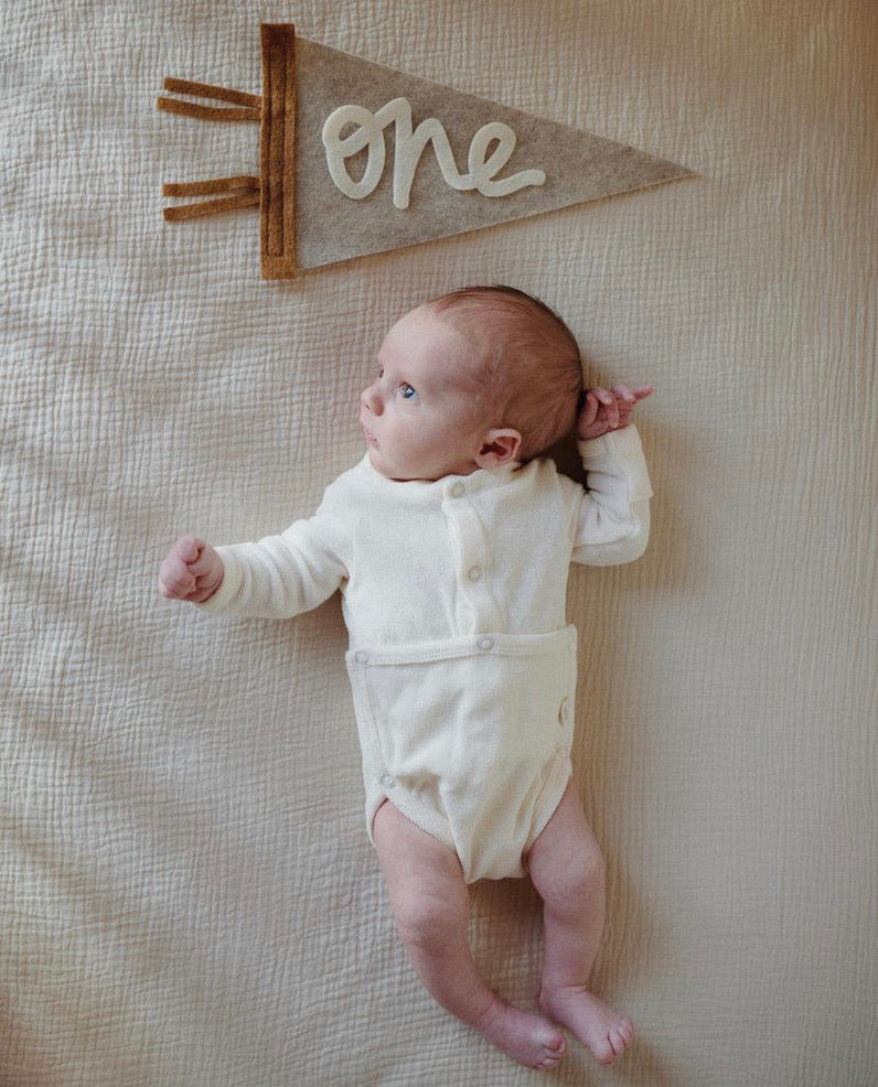 Monthly Milestone Pennant // beige with chestnut, cursive numbers - Eventide Pennant Co.
