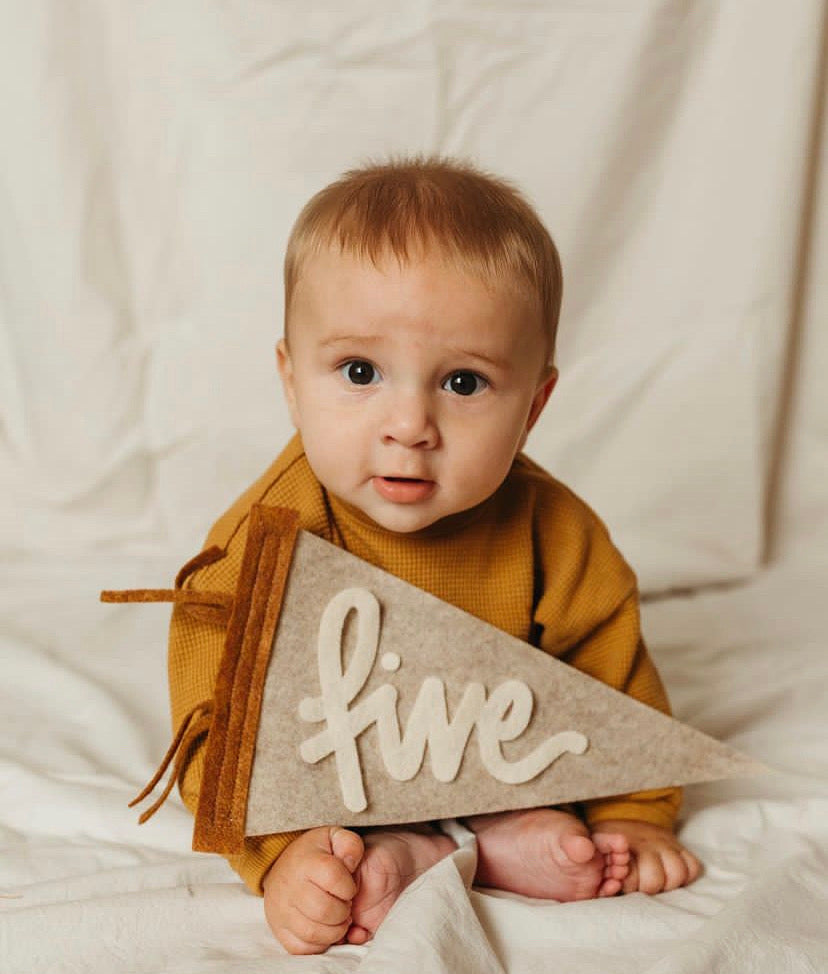 Monthly Milestone Pennant // beige with chestnut, cursive numbers - Eventide Pennant Co.